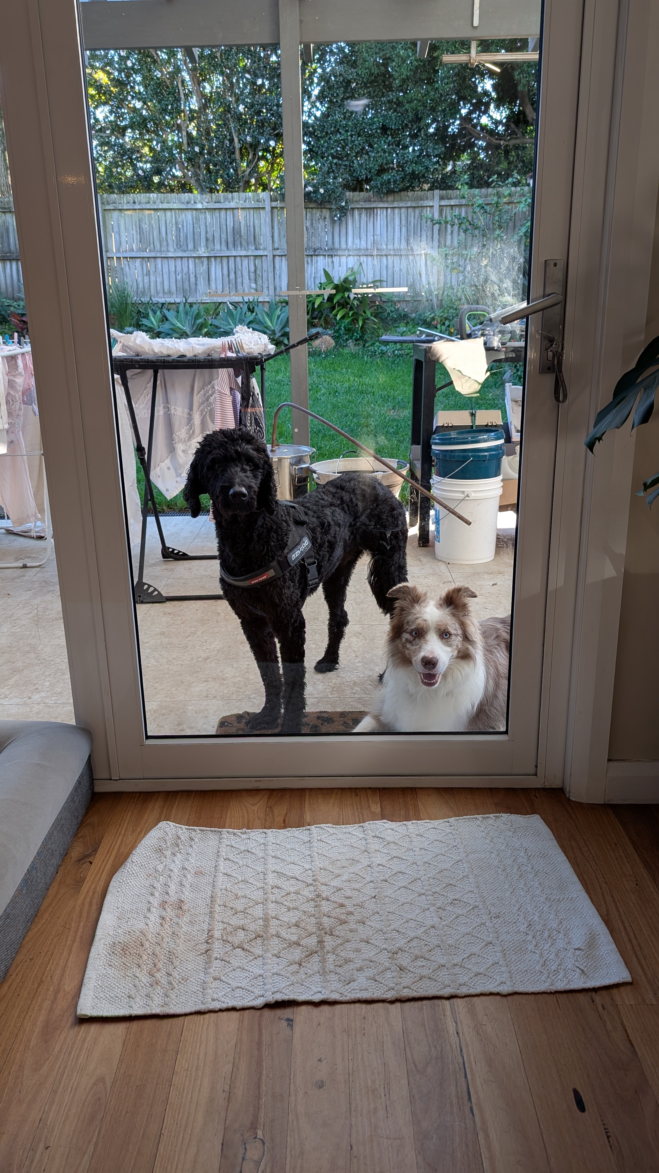 Well behaved