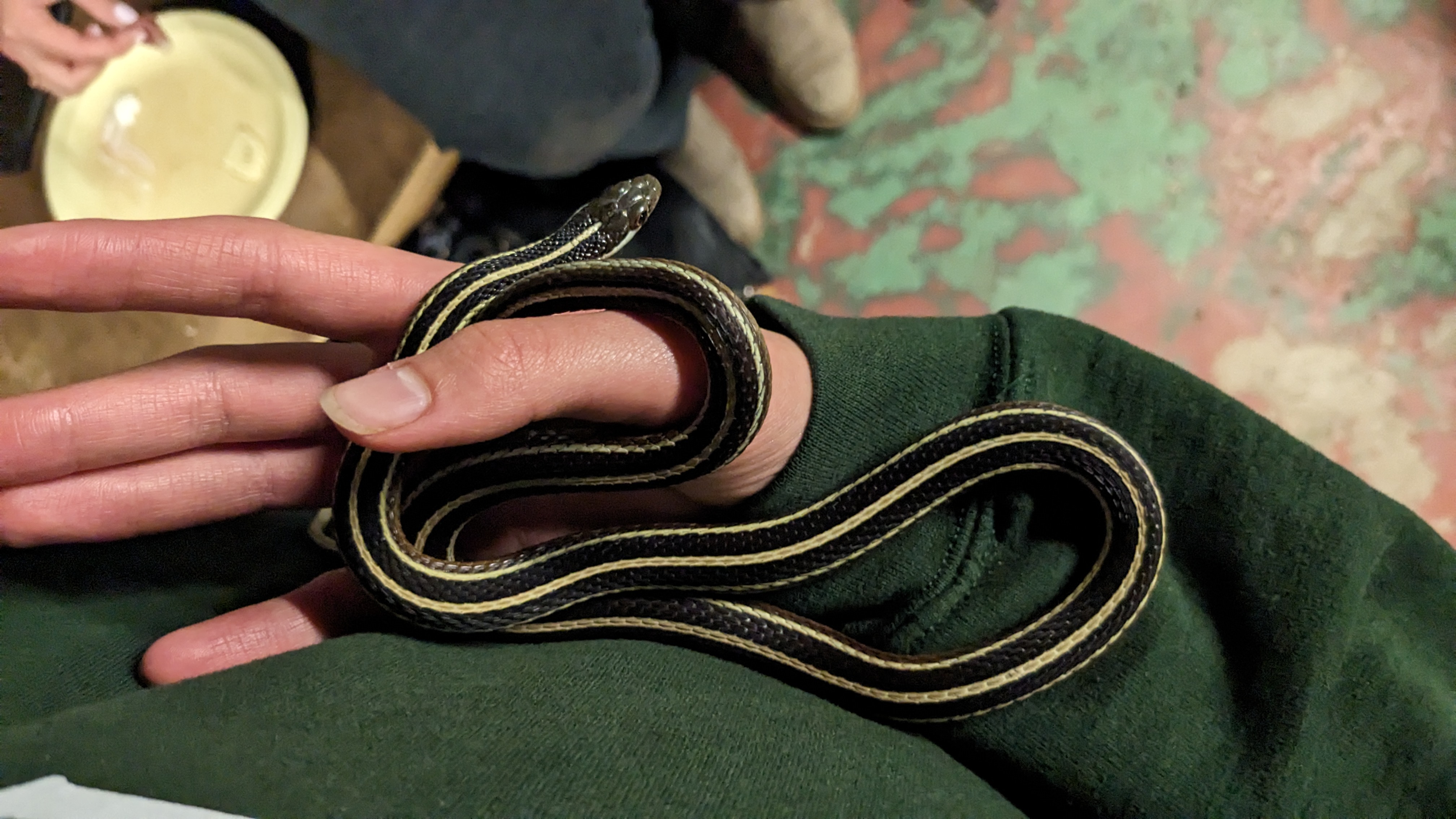 Snake